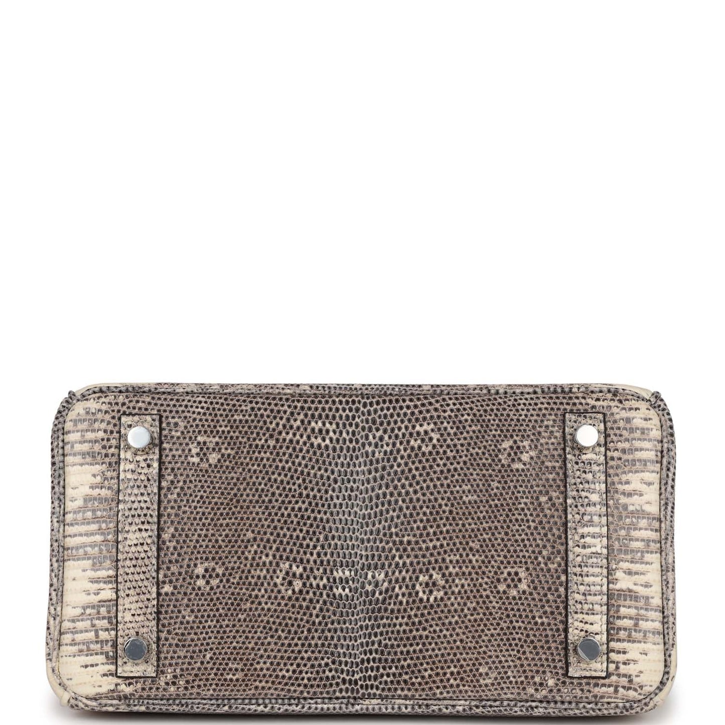 Hermes Birkin 25 Ombre Varanus Salvator Lizard Palladium Hardware