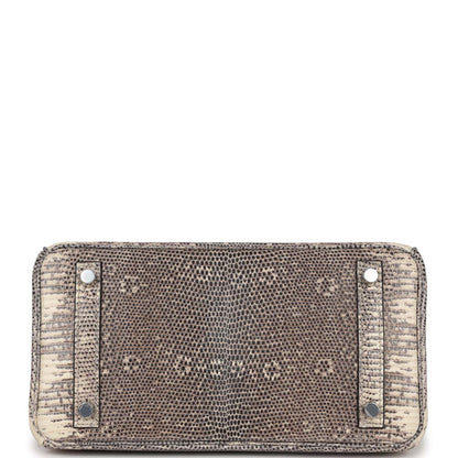 Hermes Birkin 25 Ombre Varanus Salvator Lizard Palladium Hardware