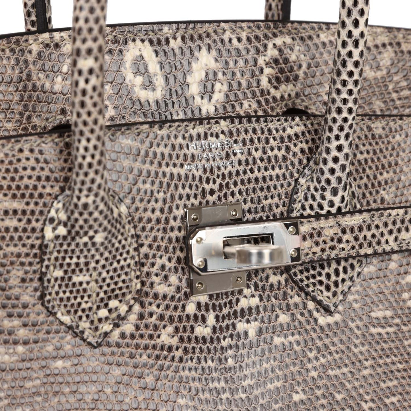Hermes Birkin 25 Ombre Varanus Salvator Lizard Palladium Hardware