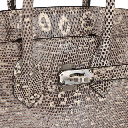 Hermes Birkin 25 Ombre Varanus Salvator Lizard Palladium Hardware