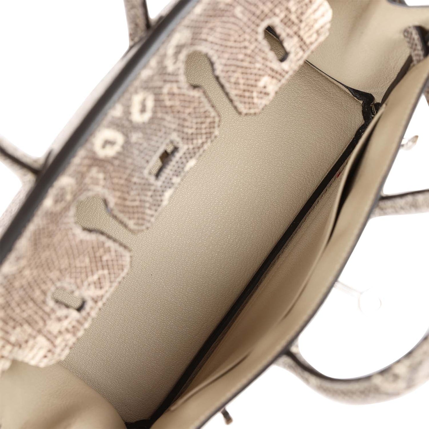 Hermes Birkin 25 Ombre Varanus Salvator Lizard Palladium Hardware