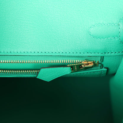 Hermes Birkin 25 Menthe Varanus Niloticus Lizard Gold Hardware