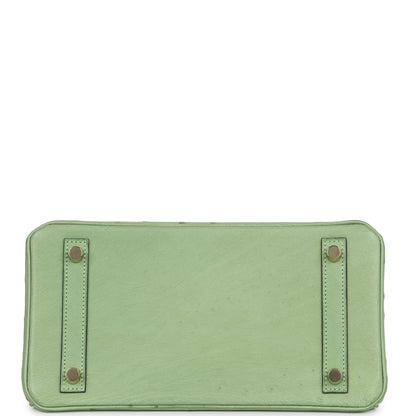 Hermes Birkin 25 Vert Criquet Ostrich Gold Hardware
