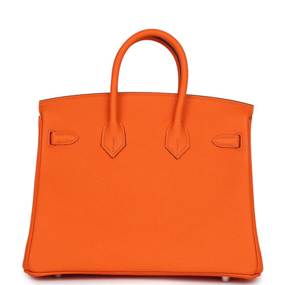 Hermes Birkin 25 Orange Minium Togo Palladium Hardware