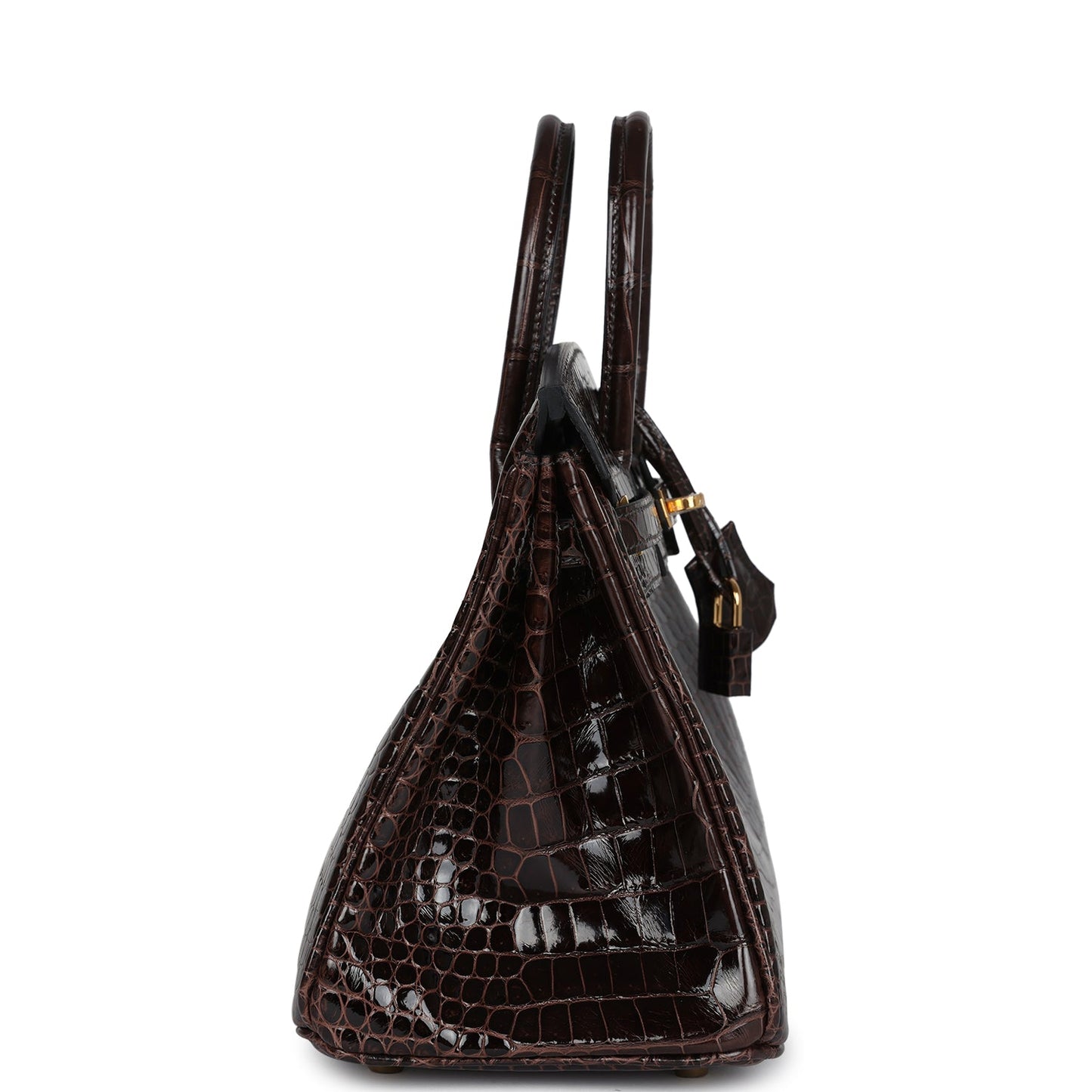 Hermes Birkin 25 Macassar Shiny Porosus Crocodile Gold Hardware