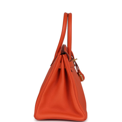 Hermes Birkin 30 Feu Togo Gold Hardware