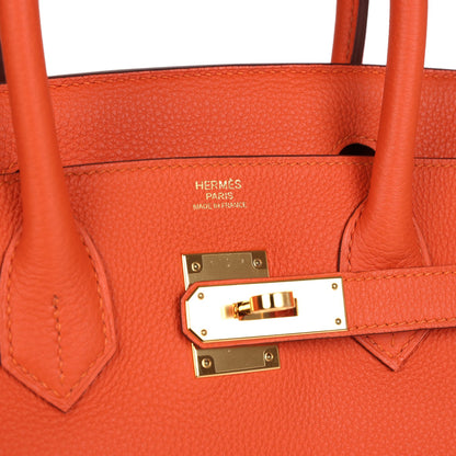 Hermes Birkin 30 Feu Togo Gold Hardware