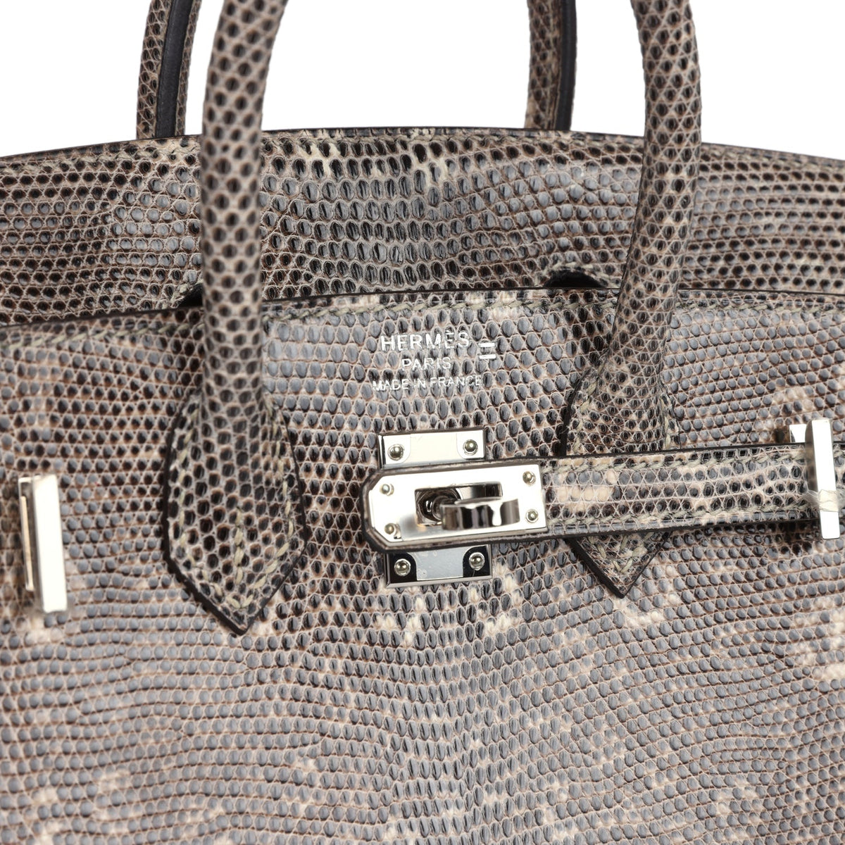 Hermes Birkin Sellier 20 Ombre Varanus Salvator Lizard Palladium Hardware