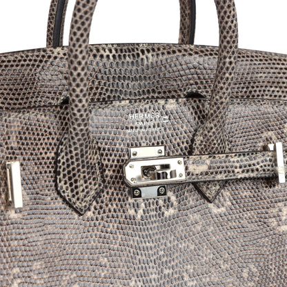 Hermes Birkin Sellier 20 Ombre Varanus Salvator Lizard Palladium Hardware