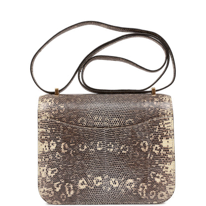 Hermes Mini Constance 18 Ombre Lizard Varanus Salvator Gold Hardware