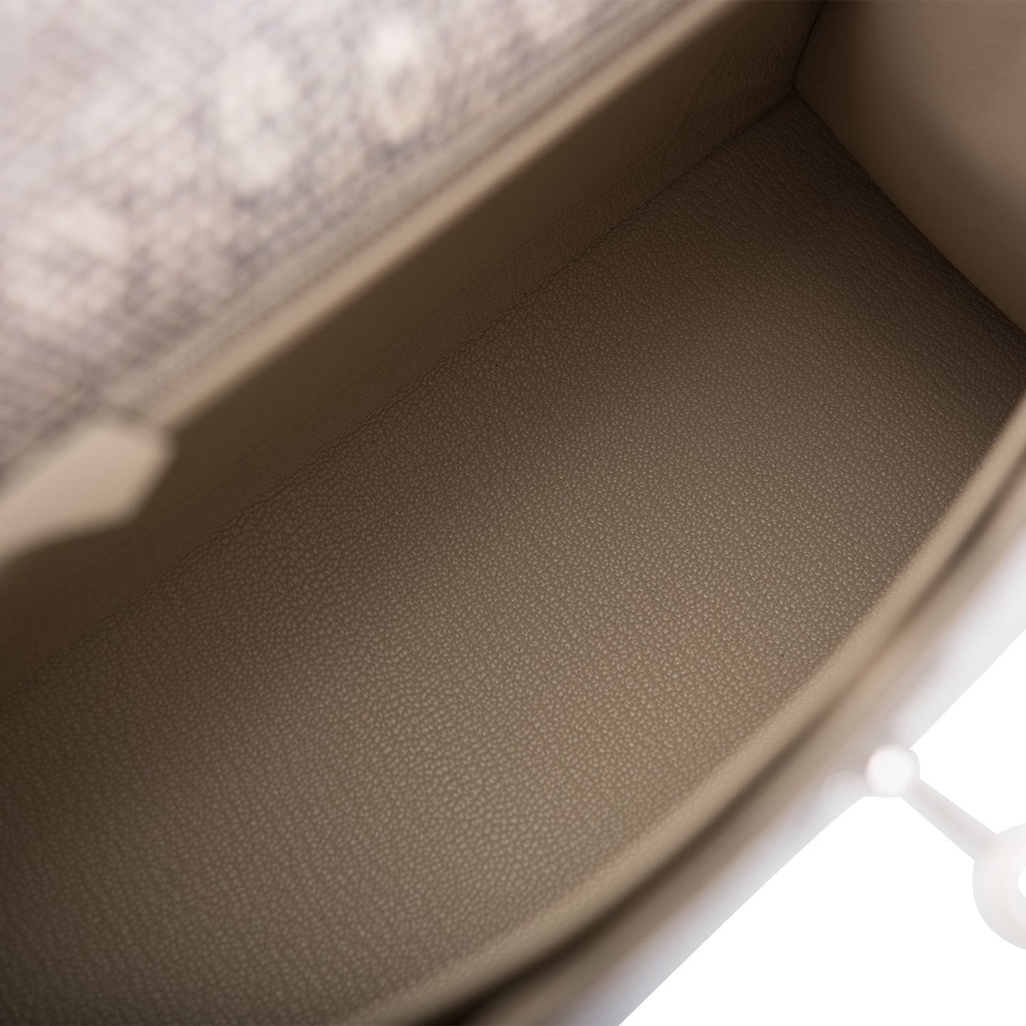 Hermes Kelly Sellier 25 Ombre Varanus Salvator Lizard Palladium Hardware