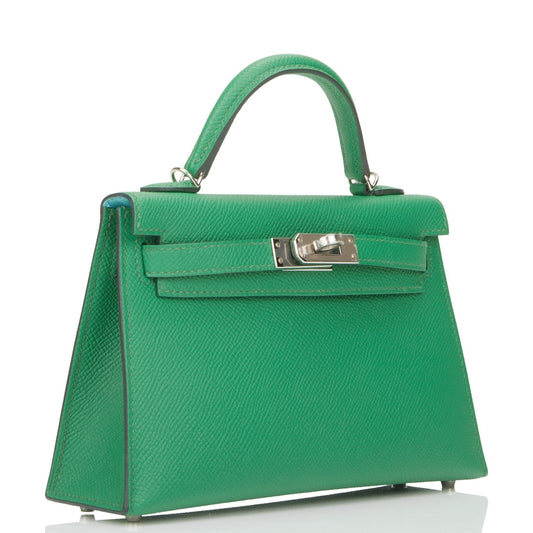 Hermes Kelly 20 Sellier Cactus Verso Epsom Palladium Hardware