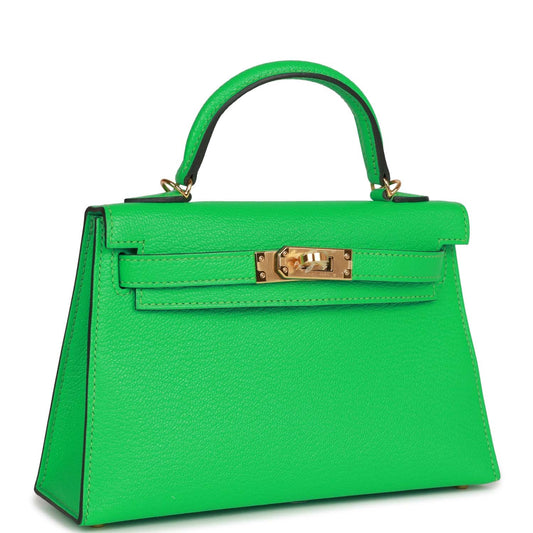 Hermes Kelly 20 Sellier Vert Comics Chevre Gold Hardware