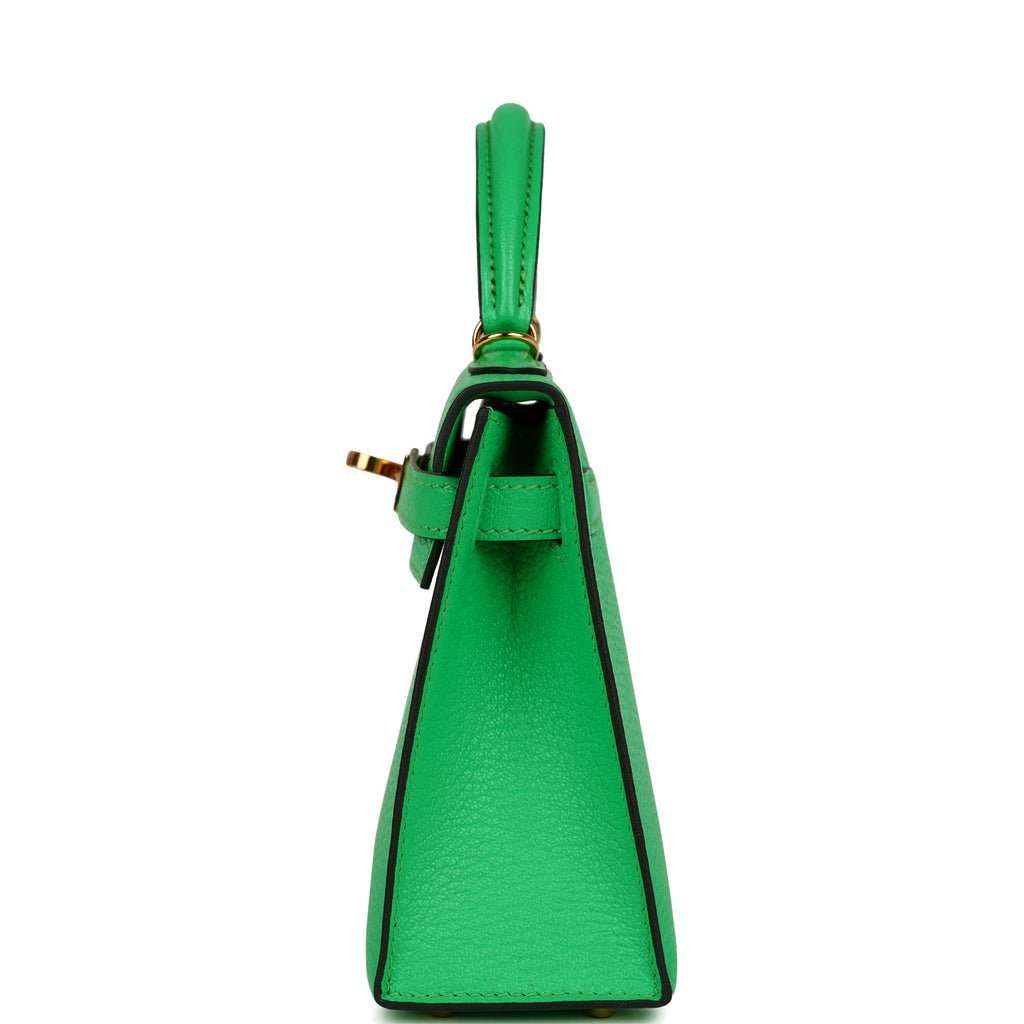 Hermes Kelly 20 Sellier Vert Comics Chevre Gold Hardware