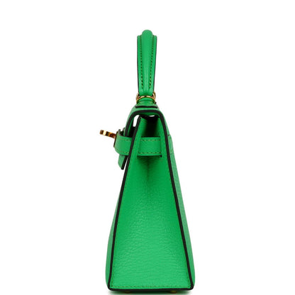 Hermes Kelly 20 Sellier Vert Comics Chevre Gold Hardware