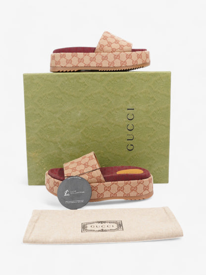 Gucci GG Platform Slides Beige  / Maroon Canvas EU 37 UK 4