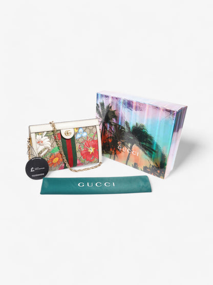 Gucci Ophidia Chain White / GG Flora Coated Canvas Small
