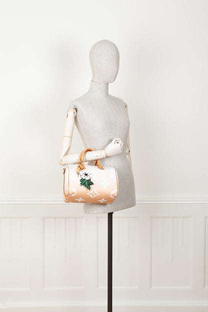 LOUIS VUITTON By the Pool Speedy 25