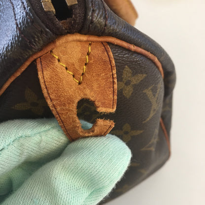 LOUIS VUITTON Speedy Handbag in Brown Canvas