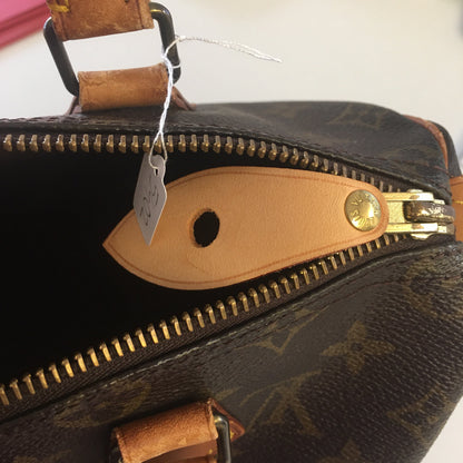LOUIS VUITTON Speedy Handbag in Brown Canvas