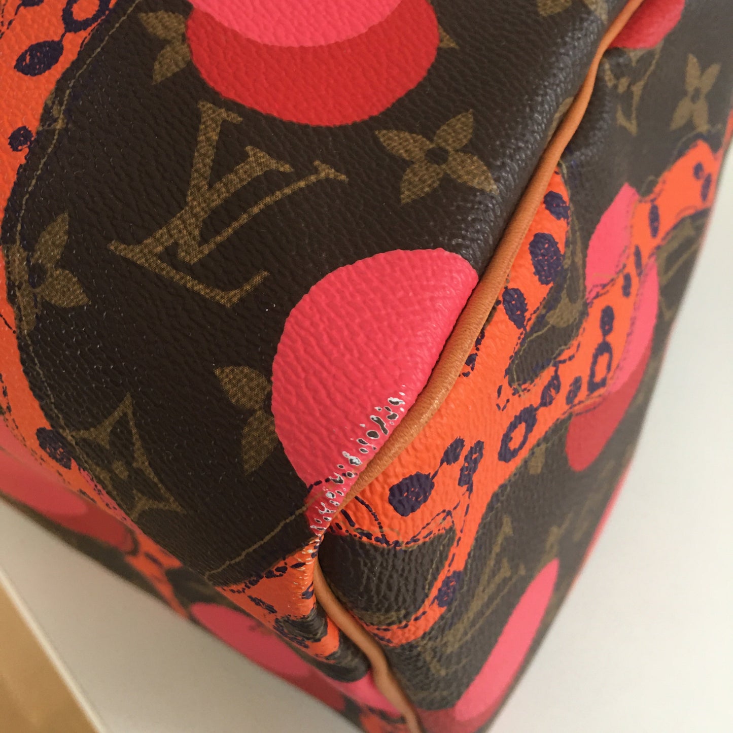 LOUIS VUITTON Speedy Handbag in Brown Canvas