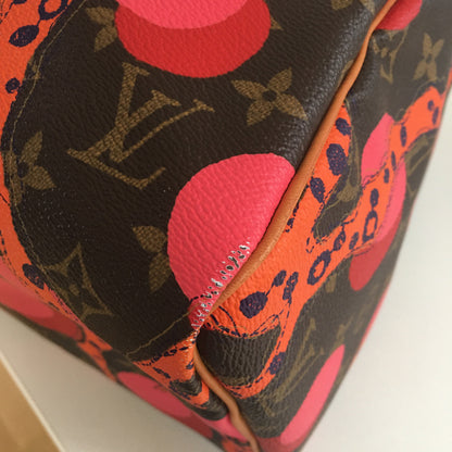 LOUIS VUITTON Speedy Handbag in Brown Canvas