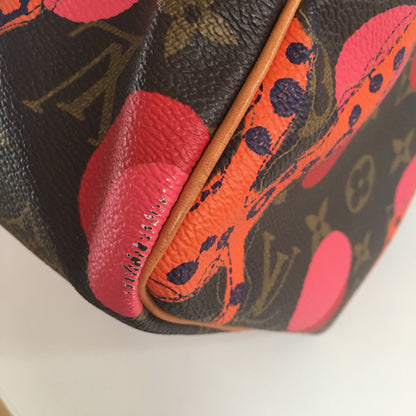 LOUIS VUITTON Speedy Handbag in Brown Canvas