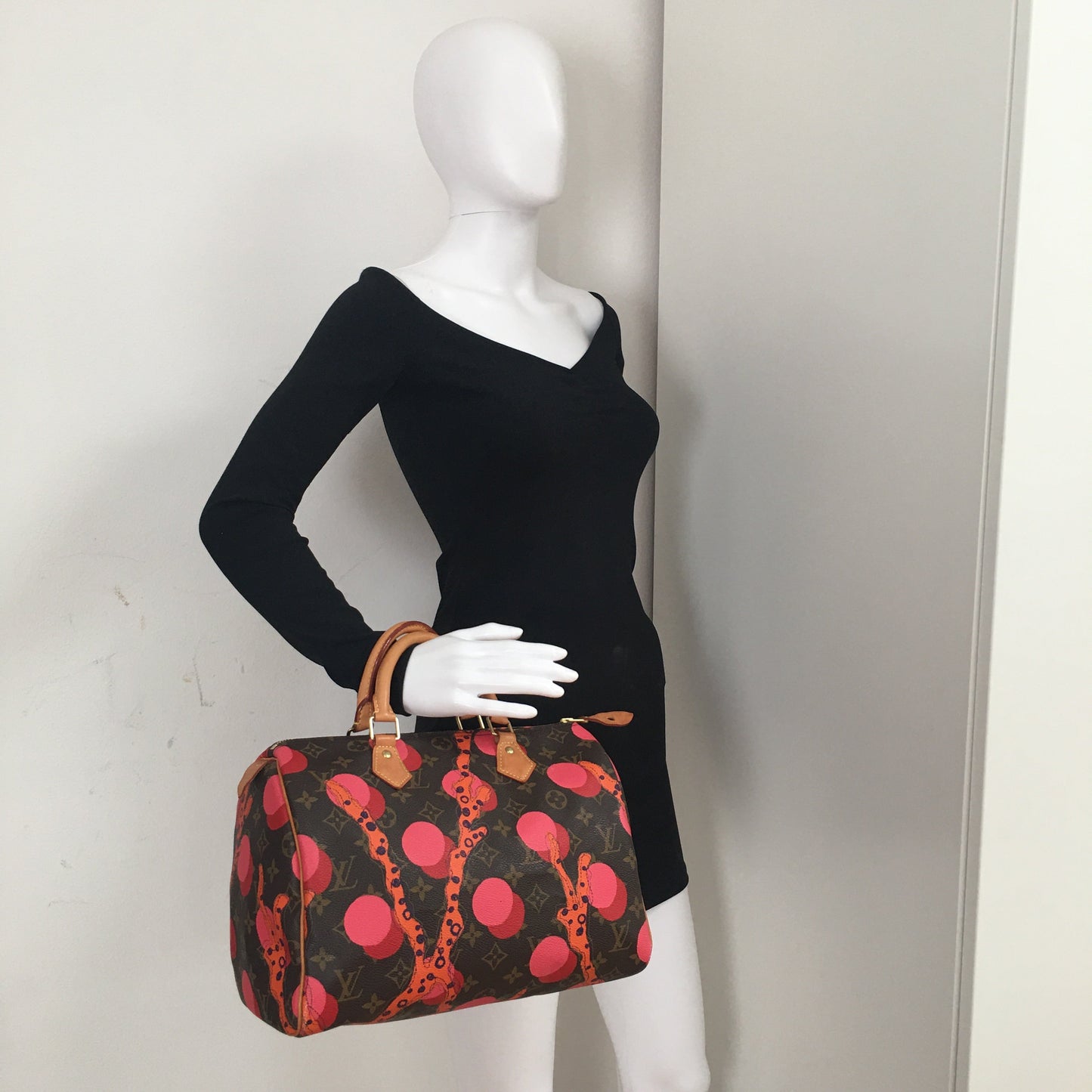 LOUIS VUITTON Speedy Handbag in Brown Canvas