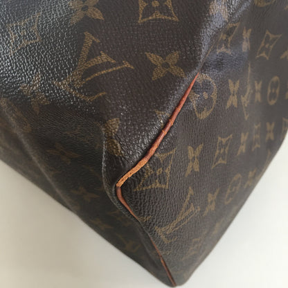 LOUIS VUITTON Speedy Handbag in Brown Canvas