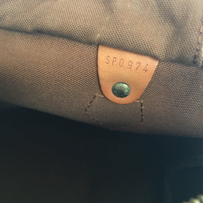LOUIS VUITTON Speedy Handbag in Brown Canvas