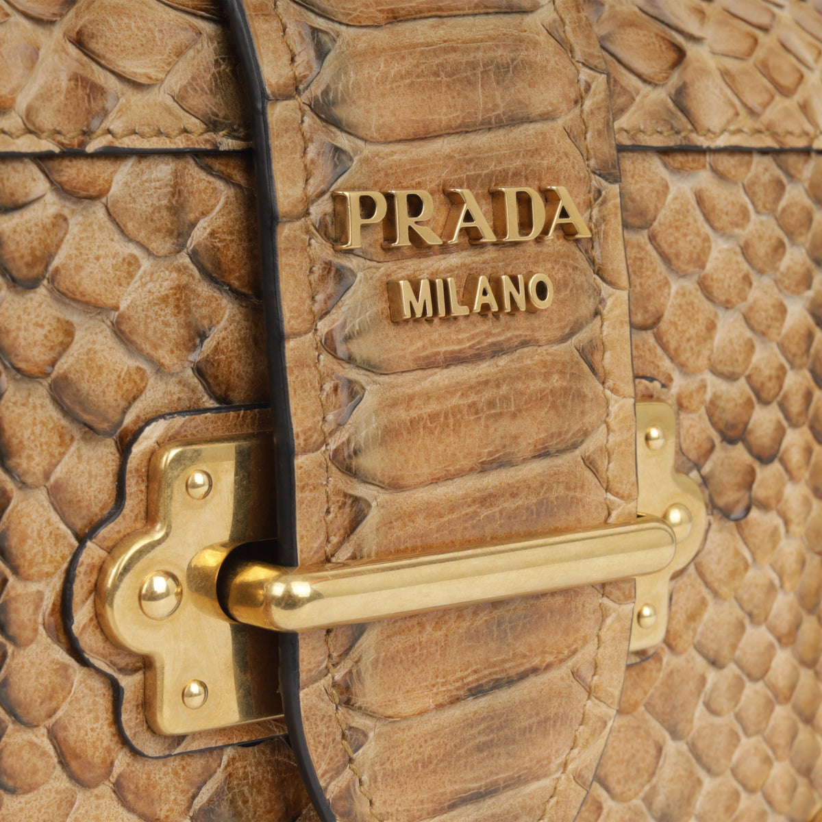 Prada Python Cahier Clutch