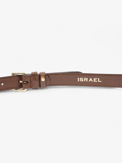 Gucci Interlocking G Messenger GG Supreme / Brown Coated Canvas Mini