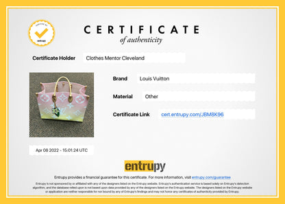 Louis Vuitton  Handbag Designer