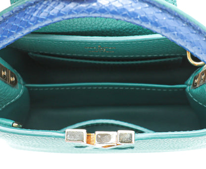 Louis Vuitton Bicolor Python Capucine Mini Bag