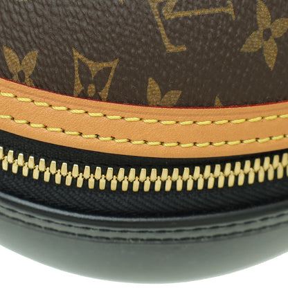 Louis Vuitton Bicolor Monogram & Calf Egg Bag