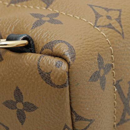 Louis Vuitton Monogram Reverse Palm Spring Mini Backpack Bag