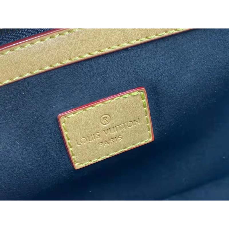 Louis Vuitton LV Women Diane Satchel Brown Monogram Coated Canvas Textile Lining