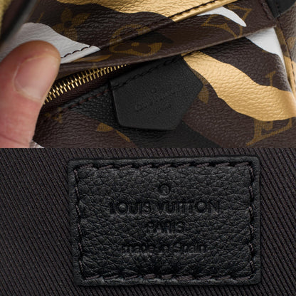 LOUIS VUITTON NEW LOL Limited Edition Palm Springs Mini backpack in brown canvas