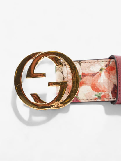Gucci GG Bloom Belt Bloom / Gold Canvas 85cm / 34"