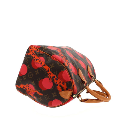 LOUIS VUITTON Speedy Handbag in Brown Canvas