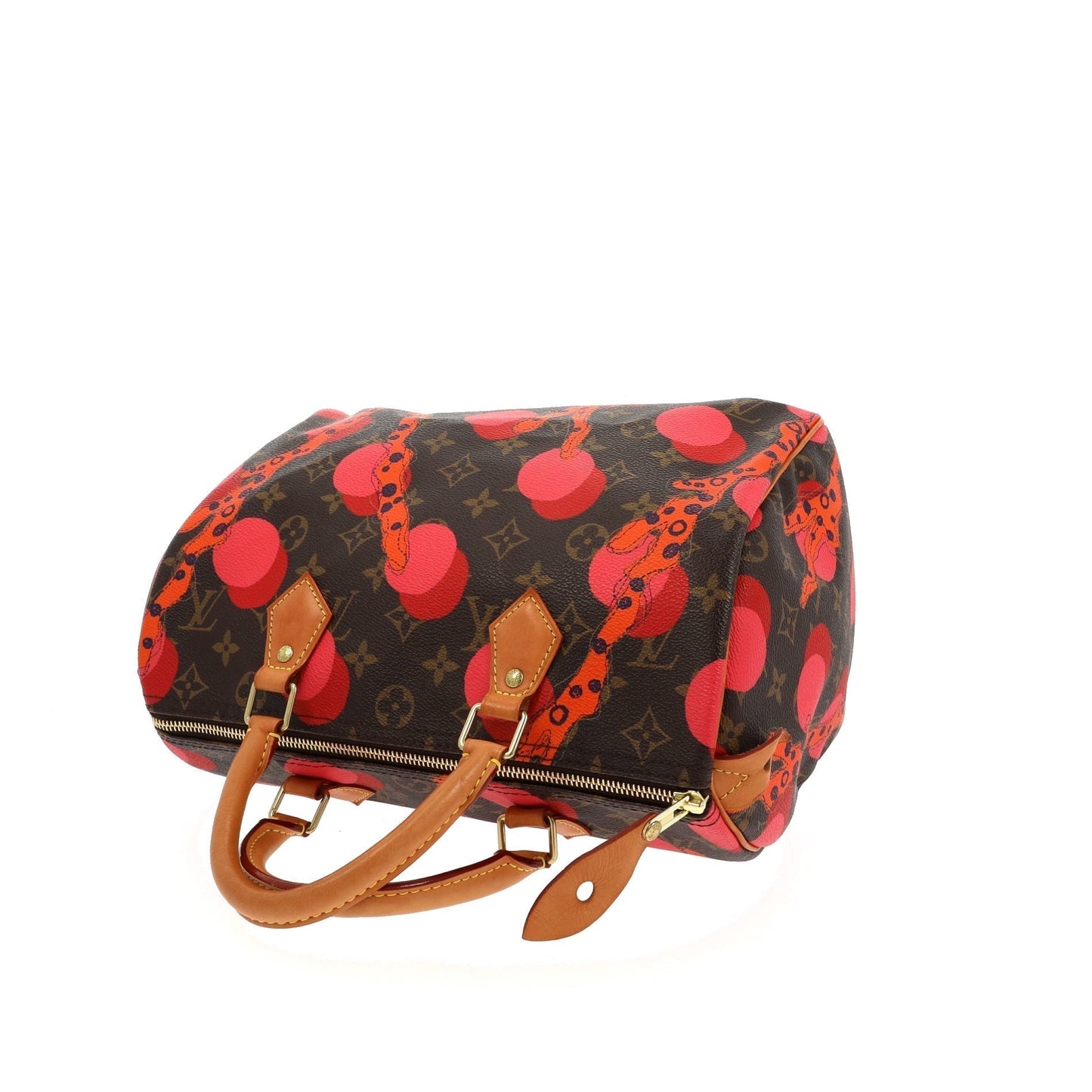 LOUIS VUITTON Speedy Handbag in Brown Canvas