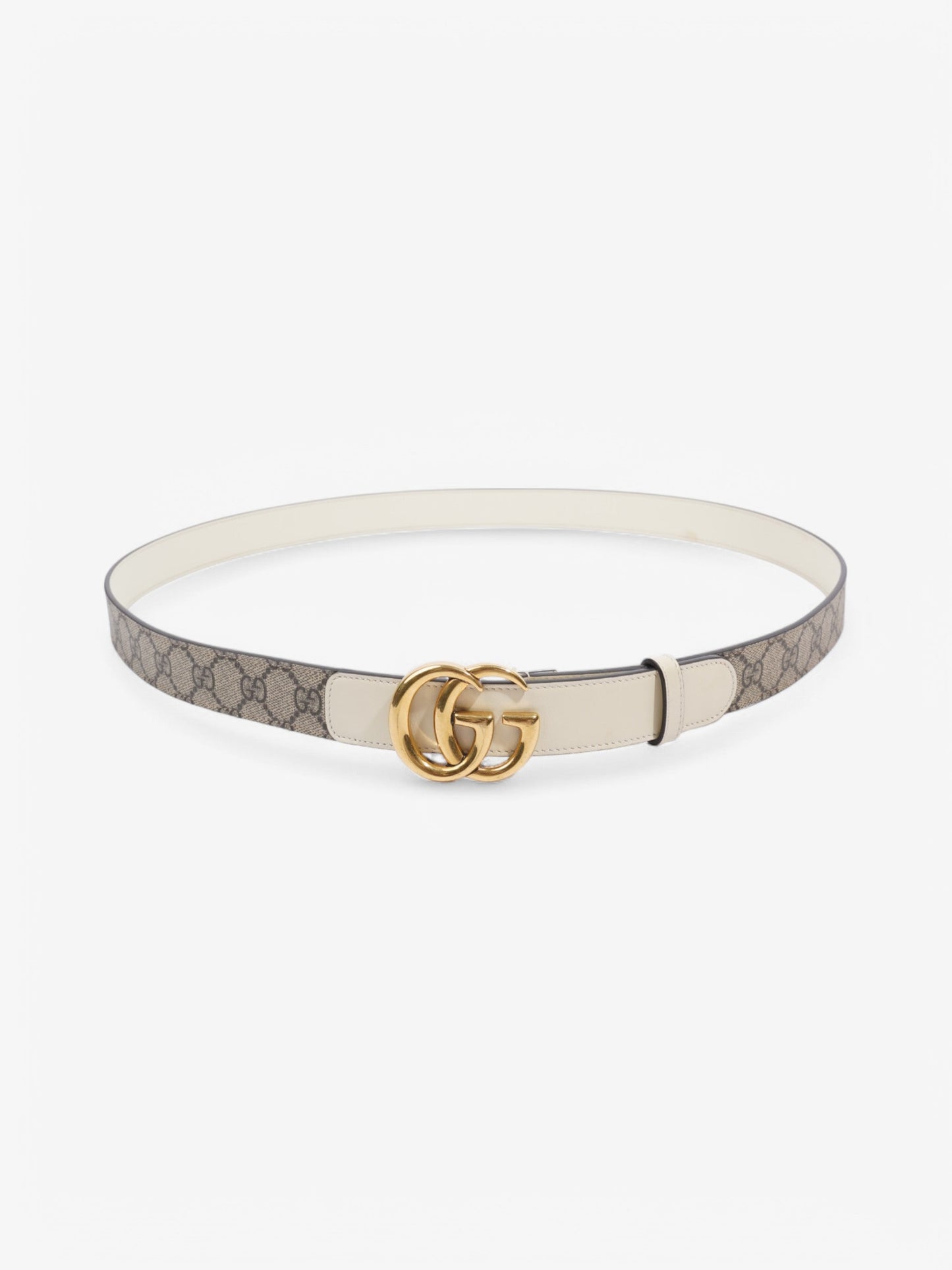 Gucci GG Blet Beige  / White Coated Canvas
