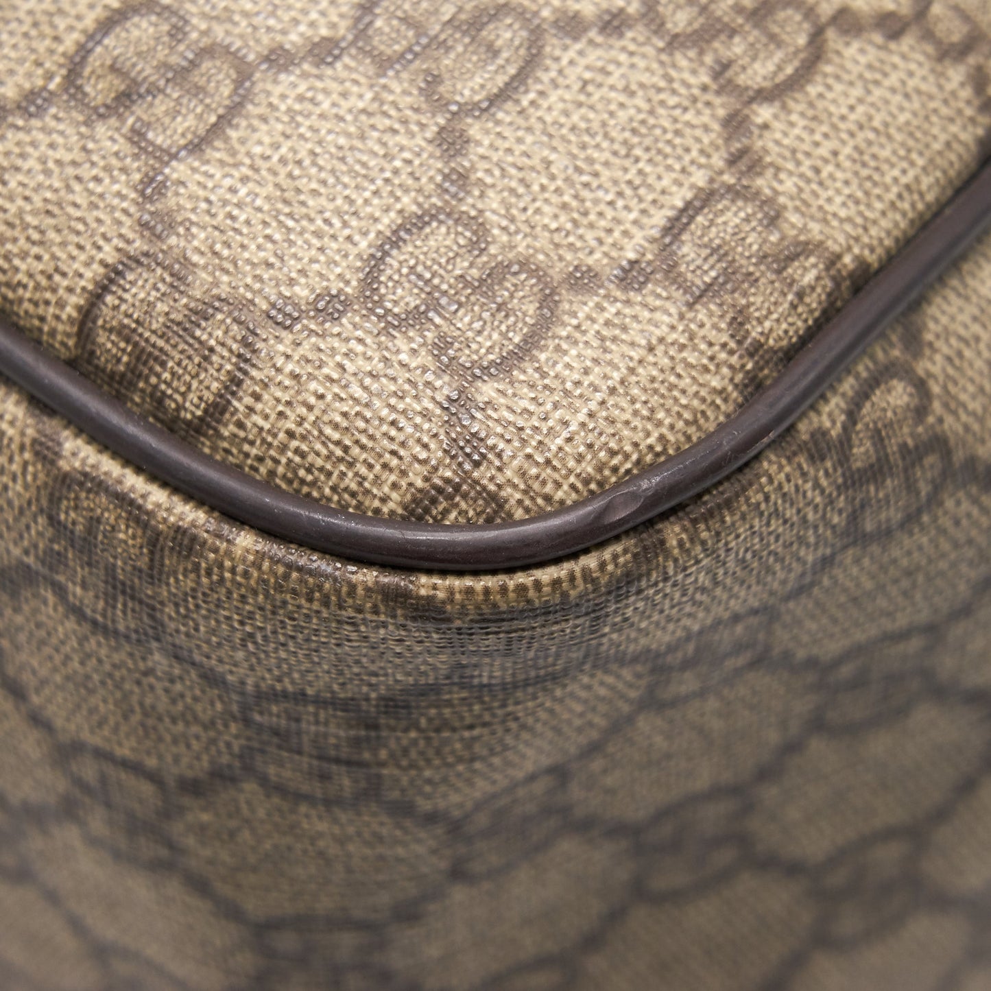 Gucci Travel Bag