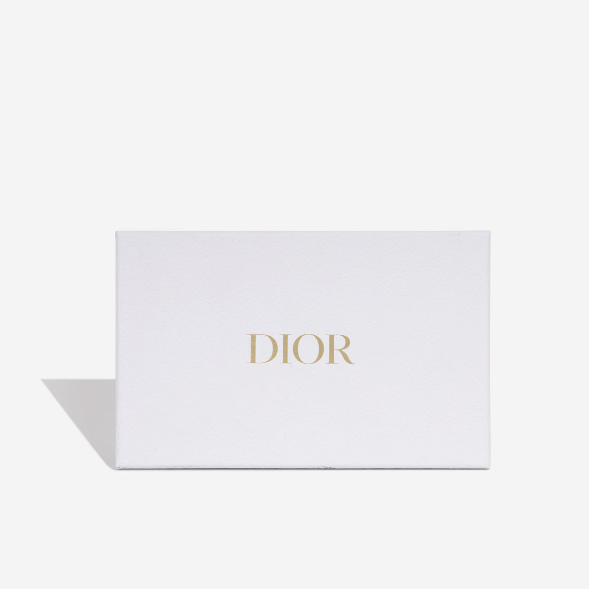 Lady Dior Pouch