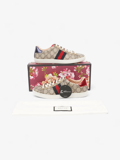 Gucci GG Supreme Ace Beige  / Navy / Red Canvas EU 38 UK 5
