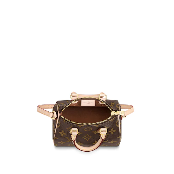 Louis Vuitton Nano Speedy Monogram