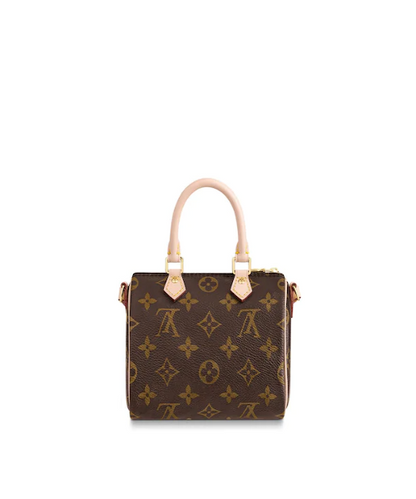 Louis Vuitton Nano Speedy Monogram