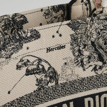 Dior Medium Book Tote Latte