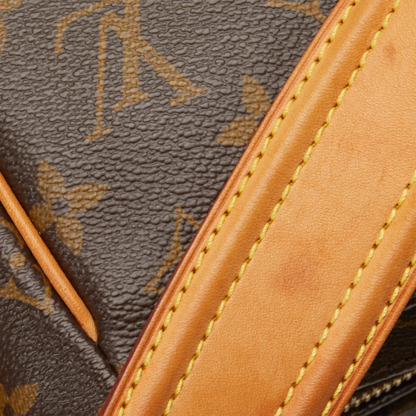 LOUIS VUITTON Monogram Viva Cite GM Shoulder Bag