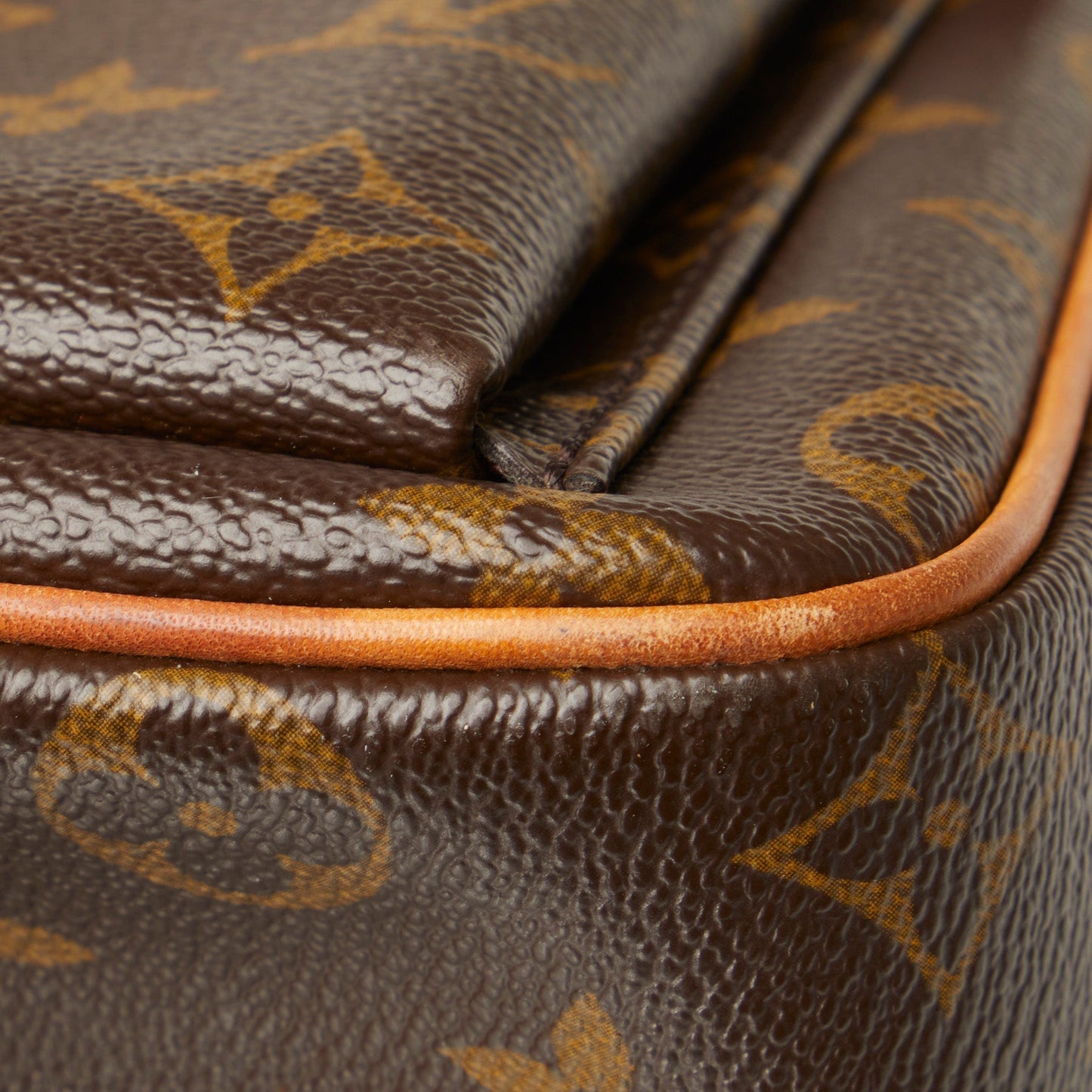 LOUIS VUITTON Monogram Viva Cite GM Shoulder Bag
